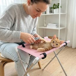 Anti-Scratch Pet Grooming Hammock Support Frame Detachable Puppy Nail Clipping Holder Sturdy Adjustable Pet Bathing Rack