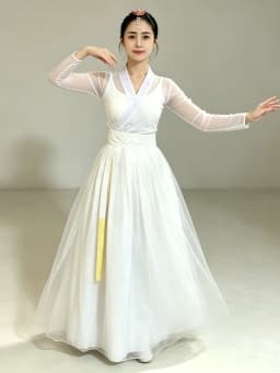 Korean Ethnic Dance Costume Women's Top Practice Uniform Half-length Skirt Performance Outfit Traditional Stage Wear
