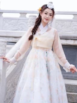 Half-Transparent Summer Costume Ladies' Court Dance Clothes Korean Traditional Clothes Ancient Photography Costume Hanfu