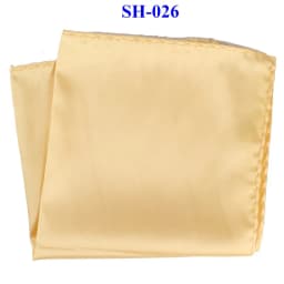 Tailor Smith 30x30cm Solid Colors Hankerchief Pocket Squares 31Colors Luxury Mens Silk Touch Soft Hankies Chest Towel