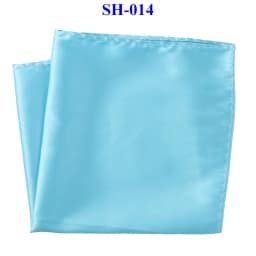 Tailor Smith 30x30cm Solid Colors Hankerchief Pocket Squares 31Colors Luxury Mens Silk Touch Soft Hankies Chest Towel