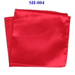 Tailor Smith 30x30cm Solid Colors Hankerchief Pocket Squares 31Colors Luxury Mens Silk Touch Soft Hankies Chest Towel