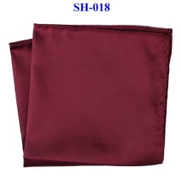 Tailor Smith 30x30cm Solid Colors Hankerchief Pocket Squares 31Colors Luxury Mens Silk Touch Soft Hankies Chest Towel