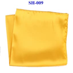 Tailor Smith 30x30cm Solid Colors Hankerchief Pocket Squares 31Colors Luxury Mens Silk Touch Soft Hankies Chest Towel