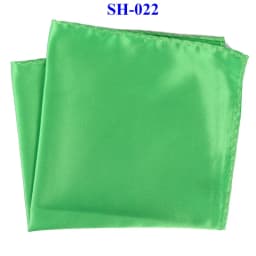 Tailor Smith 30x30cm Solid Colors Hankerchief Pocket Squares 31Colors Luxury Mens Silk Touch Soft Hankies Chest Towel