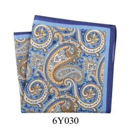  Tailor Smith 11.81x11.81 inch Pocket Squares Paisley Men's Handkerchief for Suit Accessories Wedding Business Banquet Gift