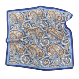  Tailor Smith 11.81x11.81 inch Pocket Squares Paisley Men's Handkerchief for Suit Accessories Wedding Business Banquet Gift