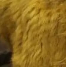 2023 Genuine Rabbit Fur Poncho,Knitted Rabbit Fur Pashmina,Genuine Rabbit Fur Shawl women's coats/Hot Sale/OEM/Wholesale/Retail