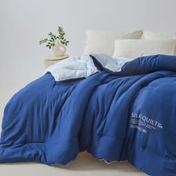 Natural Silk Quilt 100% Mulberry Silk Luxury Soft Quilts for All Season Temperature Control Comforter Reversible Bed Blanket