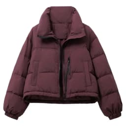 2025 New Winter Korean Loose Short Stand-up Collar Cotton Padded Jacket Women Thicken Warm Elegant Parkas Female Outwear