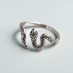 925 Sterling Silver Rings for Women Couple Minimalist Handmade Simple Vintage Snake Ring Fine Jewelry Gift Prevent Allergy