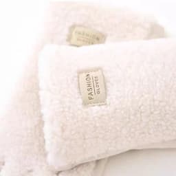 Imitation Teddy Hair Suede Women Winter Keep Warm Touch Screen Gloves Fashion Personality Add Velvet Thickened Soft