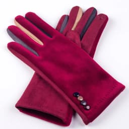 Autumn Winter Women Embroidery Touch Screen Mitten Female Button Suede Leather Velvet Cashmere Full Finger Warm Bow Glove F9