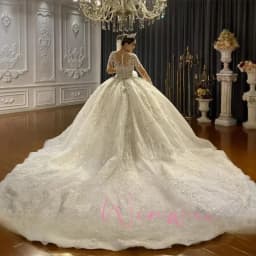Royal Lace Applique Wedding Dress Luxury Sheer Neck Bridal Ball Gown Elegant Long Sleeves Shimmering Customized Vestido De Novia