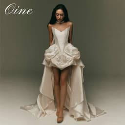 Oine Elegant V-Neck Sleeveless Wedding Dresses with Scarf 2026 Ruffles A-line Pleat Bridal Gowns Detachable Skirt Customized
