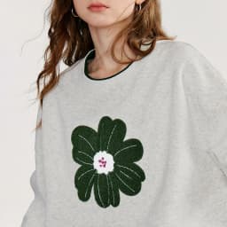 TOYOUTH Women Hoodies Sweatshirt 2025 Autumn New Green Velvet Flower Embroidered Round Neck Pullover Cotton Tops