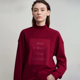 AMII Woman Sweatshirts 2025 Autumn New Minimalist Turtleneck Top Women Loose Knitted Christmas Cotton Female Sweatshirt 12544006