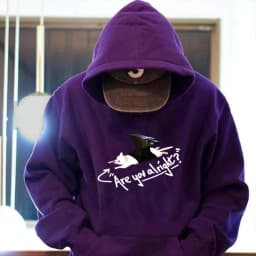 Are You Alright Lovejoy Hoodies Kawaii Anime Hoodies Lovejoy Graphic Sweatshirt Funny Lovejoy Shirt Lazy Cat Lovejoy Pullovers