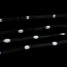 DC5V 12V 1000/3000ct Black Wire WS2815 Dual Signal 4Pin LED Pebble Seed Pixel String Light RGB Addressable IP67 2cm-20cm Spacing