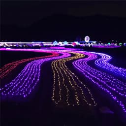 LED Net Mesh Light 110V 220V Curtain String Lights Fairy Lamp Christmas Wedding Party Holiday Outdoor Decor Lighting 3x2M 6x4M