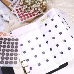 Fromthenon Round Number Sticker 365 Daily Days Stickers for 2024 Full Year Diary Journal Supplies Planner Decorative Stationery