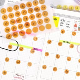 Fromthenon Round Number Sticker 365 Daily Days Stickers for 2024 Full Year Diary Journal Supplies Planner Decorative Stationery