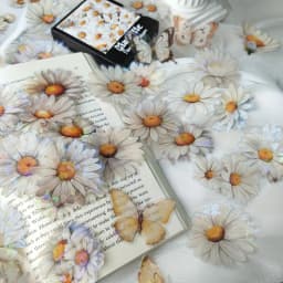 60 pcs/Box Gorgeous Flower PET Stickers Hand account DIY Scrapbooking Collage Decor Junk Journal Supplies Sticker Stationery