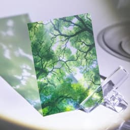 Journal GO 10pcs Summer Vibe Stickers for Photo Frame Scrapbook Decoration Summer Water Collage Junk Journal Card Craft Material