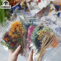 6Pcs Weekend Flowers Deco Stickers Set DIY Stationery Scrapbooking Album Styling Toy Decoration 8 Unique Design Options