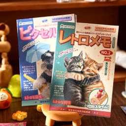 Mr. Paper 30pcs Vintage Style Pet Food Theme Sticker Book,Starry Lamination & Full Die-Cut Craft, Self-Adhesive Journal Supplies