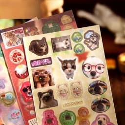 Mr. Paper 30pcs Vintage Style Pet Food Theme Sticker Book,Starry Lamination & Full Die-Cut Craft, Self-Adhesive Journal Supplies