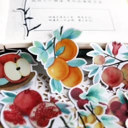Stickers17pcs Hand Account Cartoon Fruit Full Branches Sticker Cute Diy Photo Album Ins Food Translucent Decorative Material