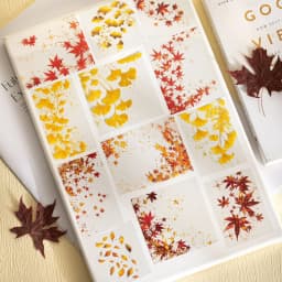 20pcs/1lot Kawaii Scrapbook Stickers Autumn Language Collection Junk Journal Gold Planner Stationery Sticker Planner Decorative