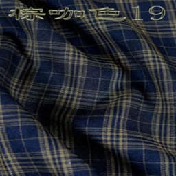 Fashion Tassel Hip Hop Irregular Men and Women Fake Shirt Hem Spring Autumn False Shirt Skirt Half-body Plaid Skirts Womens Saia