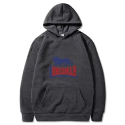 LONSDALE logo print men's casual and stylish hooded sweater/sweatshirt for spring and autumn.