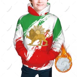 Unisex 3D Youth Hoodie Emblem Of Iran Lion And Sun Flag Of Iran Persia Kids Boys Girls Sweatshirt Pullover Hoodies Polyester