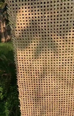 Cane Webbing 35/40/45/50/60/70/80cm Width, Natural Rattan Roll Large Size Caning Material, Rattan Cane for Cabinet Headboard