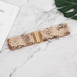 Sequin Elastic Glitter Belt Women's Corset Wide Waist Belt Metal Buckle Waistband Decorative Corset Strap Party Dress Accessorie