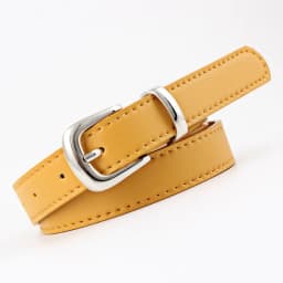 Women's Belts Jeans Pants Dress Girls Fashion PU Leather European Style Luxury Alloy Gold/Silver Buckle Waistband Belts for Lady