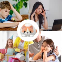 Sensory Animal Stress Toys Stress Toys Sensory Toys Cute Animal Desk Decor Sensory Stimulation Squeeze Toys Collectible