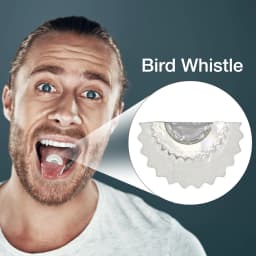 Bird Whistle Fun Bird Caller Tongue Whistle Bird Caller Tongue Whistle Tweeting Noisemaker Toys Tricks Gag Music Toys