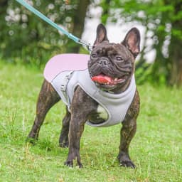 Dog Cooling Vest Summer Three-Layer Vest Dog Cooler Cooling Clothing Pet Dogs Health Supplies For Exercise Mountaineering Hiking