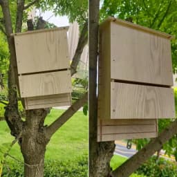 Wooden Bat House Wood Shelter For Bat Colony Reusable Wooden Bat Box Shelter For Hibernation Wooden Bat Box Shelter For Garden