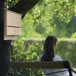 Wooden Bat House Wood Shelter For Bat Colony Reusable Wooden Bat Box Shelter For Hibernation Wooden Bat Box Shelter For Garden