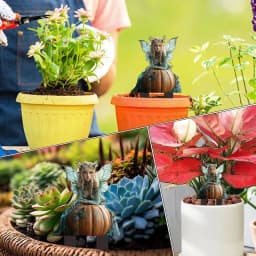 Outdoor Fairy Stake 2D Acrylic Garden Fairies Relaxing Decoration Statues Outdoor Sculpture Yard Decoration for Balcony Garden