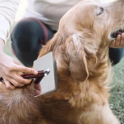 Dogs Grooming Comb cats Shedding Slicker Brush Portable Dog Massage Clean Tangled Brush For Small Medium Large Dogs Cats Pets