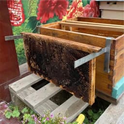 Beehive Frame Perch 2pcs Stainless Steel Beehive Holder Stable Bee Hive Supplies Multifunctional Rustproof Beekeeping Supplies