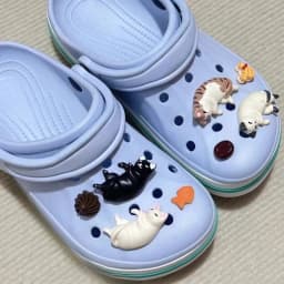 8PCS Fashion Cute Cartoon Cats Shoe Charms Designer Lovely All-match Charms for Bundle Set Quality Sandals Accessories