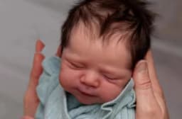 Reborn Painted Baby Dolls Newborn Baby Size Real Picture Handmade 3D Skin Rooted Hair Visible Veins Muñecas Reborn Kid's Gift