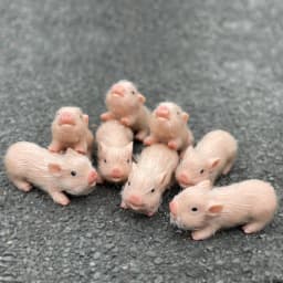 12cm Cute Mini Reborn Piglet Full Body Silicone Piglet Dolls With 3 Sets Mini Outfits for Each Bebe Reborn Smile Piglet